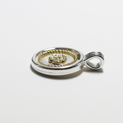 タロSAR＋おまけ Zard Stainless Steel Homologated Satin Slip-On for TRIUMPH